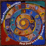 Cover: First Step In A Long Journey